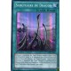 Sanctuaire du Dragon (SR) [SDBE]