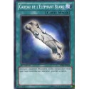 Cadeau de l'Eléphant Blanc (C) [SDBE]