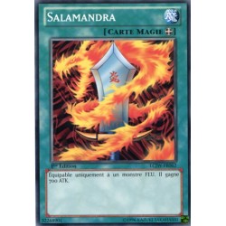 Salamandra (C) [LCJW]