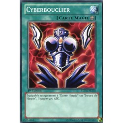 Cyberbouclier (C) [LCJW]