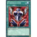 Cyberbouclier (C) [LCJW]