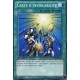 Carte d'Inviolabilité (C) [LCJW]