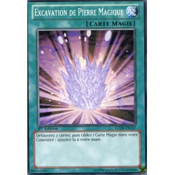Excavation de Pierre Magique (C) [LCJW]