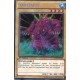 Kabazauls (STR) [LCJW]