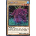 Kabazauls (STR) [LCJW]