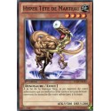Hyper Tête de Marteau (C) [LCJW]