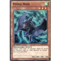 Ptéra Noir (C) [LCJW]