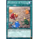 Recherche de Fossiles (C) [LCJW]