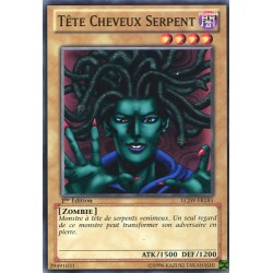 Tête Cheveux Serpent (C) [LCJW]