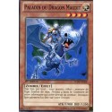 Paladin du Dragon Maudit (C) [LCJW]