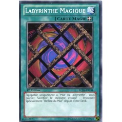 Labyrinthe Magique (C) [LCJW]