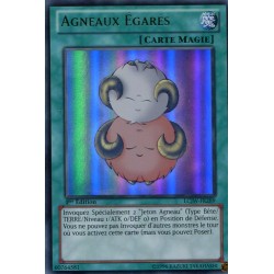 Agneaux Egarés (UR) [LCJW]