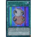 Agneaux Egarés (UR) [LCJW]
