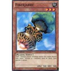 Fiberjarre (C) [LCJW]