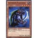 Guerrier Panthère (C) [LCJW]