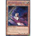 Gwenhwyfar, Reine des Armes Nobles (STR) [LVAL]