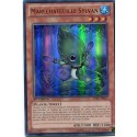 Maréchafeuille Sylvan (UR) [LVAL]
