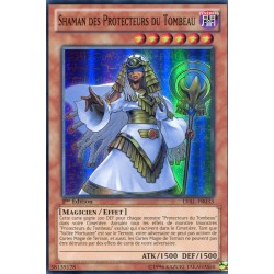 Shaman des Protecteurs du Tombeau (SR) [LVAL]
