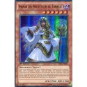 Shaman des Protecteurs du Tombeau (SR) [LVAL]