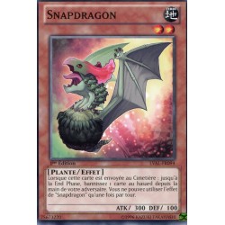 Snapdragon (C) [LVAL]