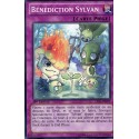 Bénédiction Sylvan (C) [LVAL]