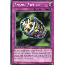 Ananas Explosif (C) [WGRT]