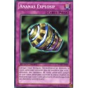 Ananas Explosif (C) [WGRT]