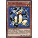 Electro-lémur (C) [WGRT]
