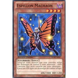 Espillon Machaon (C) [WGRT]
