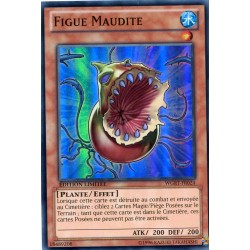 Figue Maudite (SR) [WGRT]
