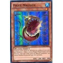 Figue Maudite (SR) [WGRT]