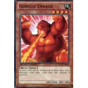 Gorille Enragé (C) [WGRT]
