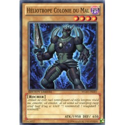 Héliotrope Colonie Du Mal (C) [WGRT]