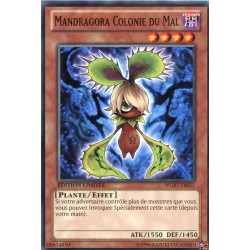 Mandragora Colonie Du Mal (C) [WGRT]