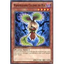 Mandragora Colonie Du Mal (C) [WGRT]