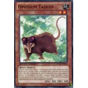 Opossum Taquin (C) [WGRT]