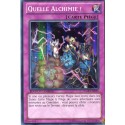 Quelle Alchimie ! (SR) [WGRT]