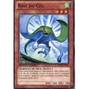 Raie Du Ciel (C) [WGRT]