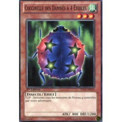 Coccinelle des Damnés à 4 Etoiles (C) [YSYR]
