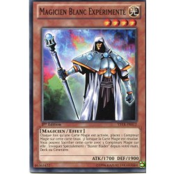 Magicien Blanc Expérimenté (C) [YSYR]