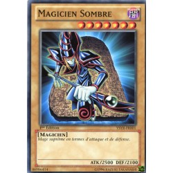 Magicien Sombre (C) [YSYR]