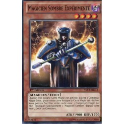 Magicien Sombre Expérimenté (C) [YSYR]