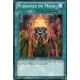 Puissance du Mage (C) [YSYR]