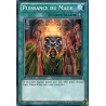 Puissance du Mage (C) [YSYR]