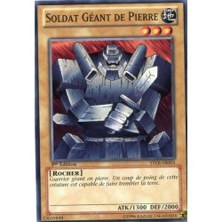 Soldat Géant de Pierre (C) [YSYR]