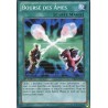 Bourse des Âmes (C) [YSKR]