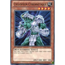 Cyclopéen Cybernétique (C) [YSKR]