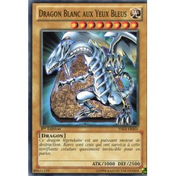 Dragon Blanc aux Yeux Bleus (C) [YSKR]