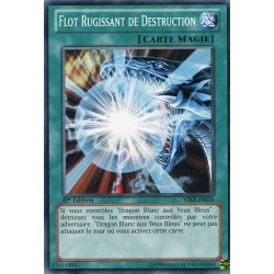 Flot Rugissant de Destruction (C) [YSKR]