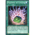 Fragment de Cupidité (C) [YSKR]